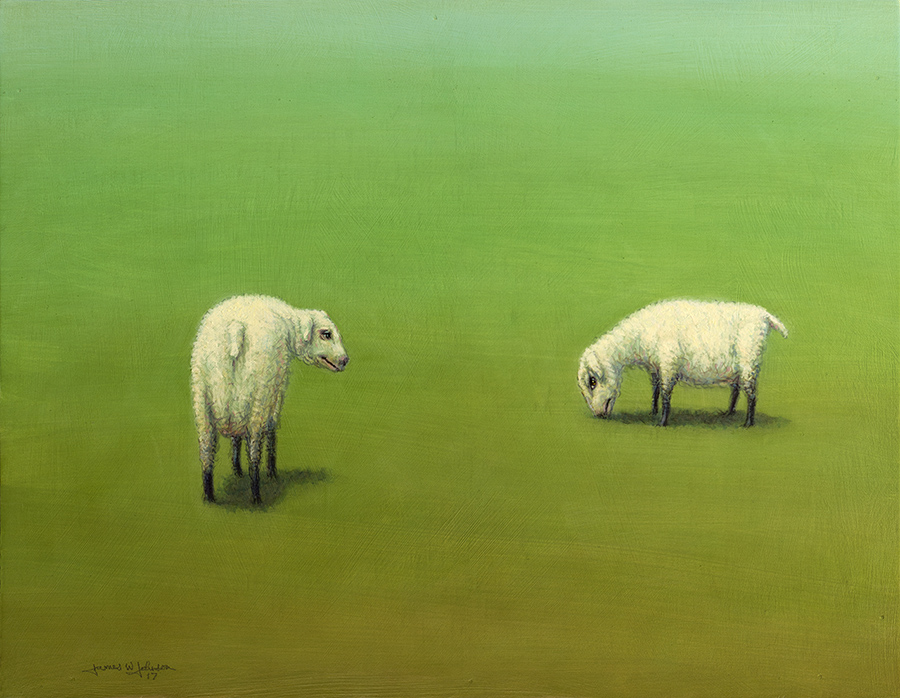Study of Two Sheep